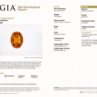 9.05 Ct. Yellowish Orange Sapphire from Ceylon (Sri Lanka) Pdf