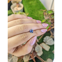 1.30 Ct. Bi Color / Parti Sapphire from Ceylon (Sri Lanka) Life Style