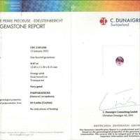 Jewelry Scan Report