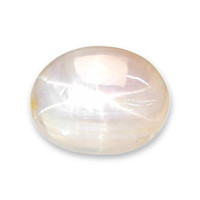 1.63 Ct. Peach Cabochon Star Sapphire from Ceylon (Sri Lanka) Video