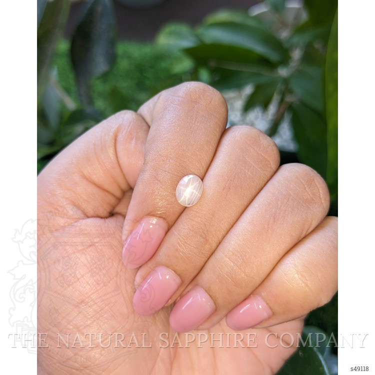 1.63 Ct. Peach Cabochon Star Sapphire from Ceylon (Sri Lanka)