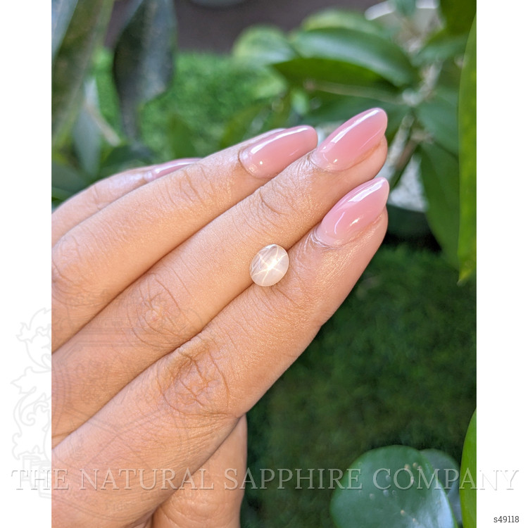 1.63 Ct. Peach Cabochon Star Sapphire from Ceylon (Sri Lanka)