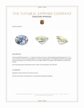 1.17 Ct. Bi Color / Parti Sapphire from Ceylon (Sri Lanka) Appraisal