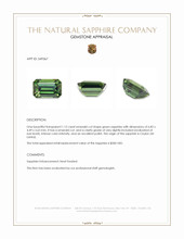 1.12 Ct. Green Sapphire from Ceylon (Sri Lanka) Appraisal