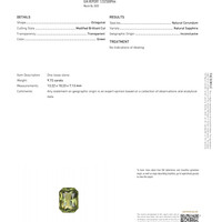 9.72 Ct. Green Sapphire from Tanzania Pdf