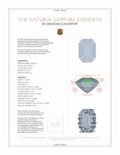 Jewelry 3 D Scan Report