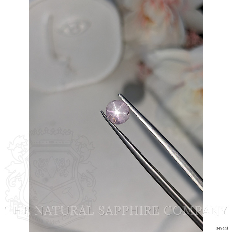 1.57 Ct. Purplish Pink Cabochon Star Sapphire from Ceylon (Sri Lanka)
