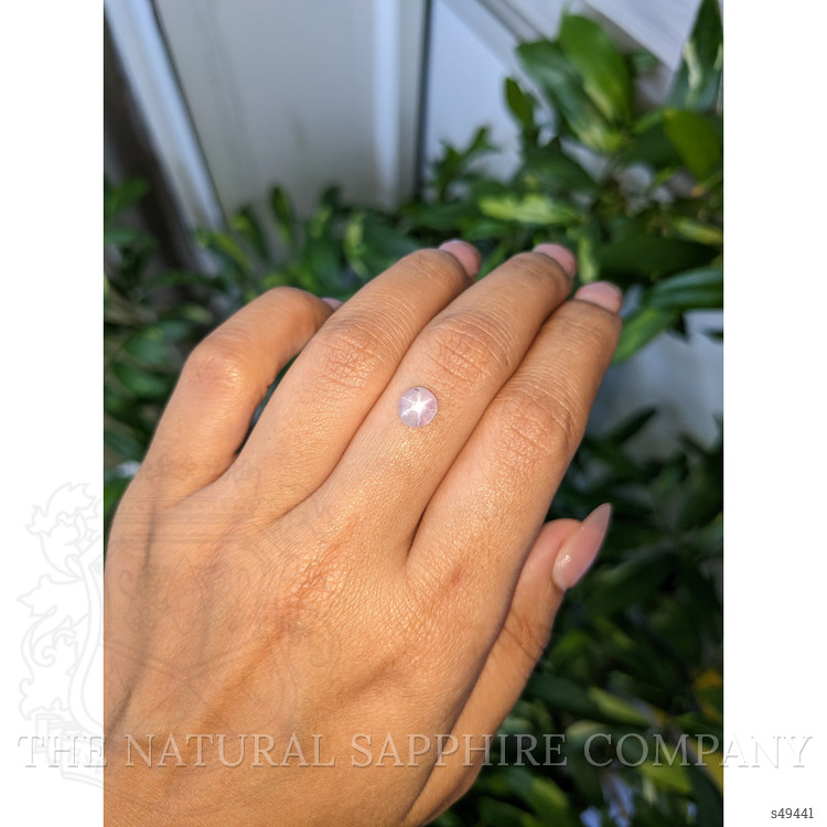 1.57 Ct. Purplish Pink Cabochon Star Sapphire from Ceylon (Sri Lanka)