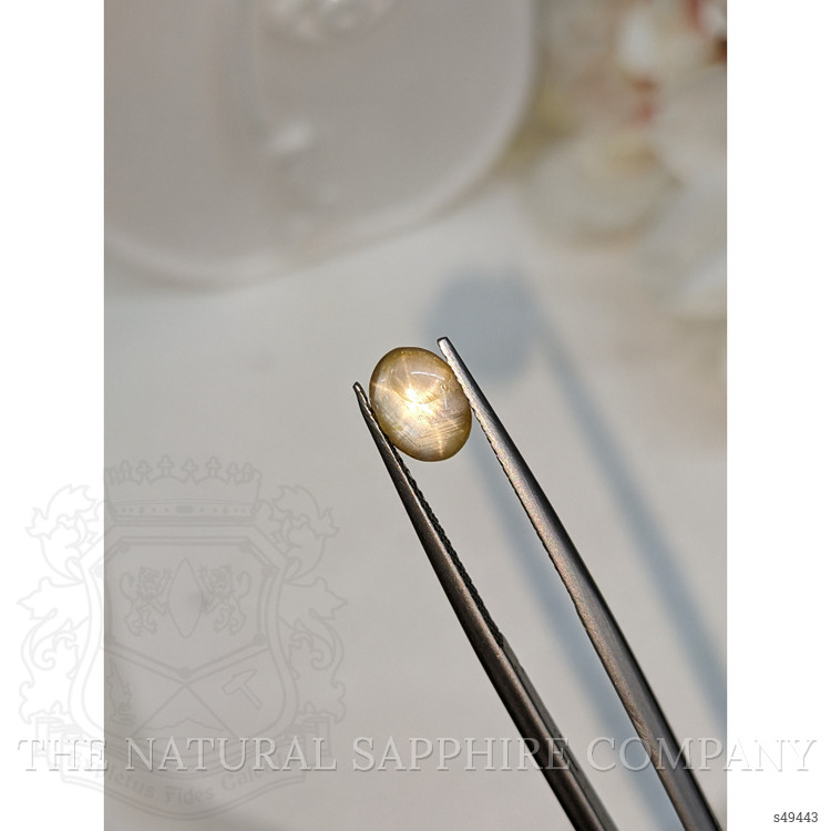 1.71 Ct. Yellow Cabochon Star Sapphire from Ceylon (Sri Lanka)