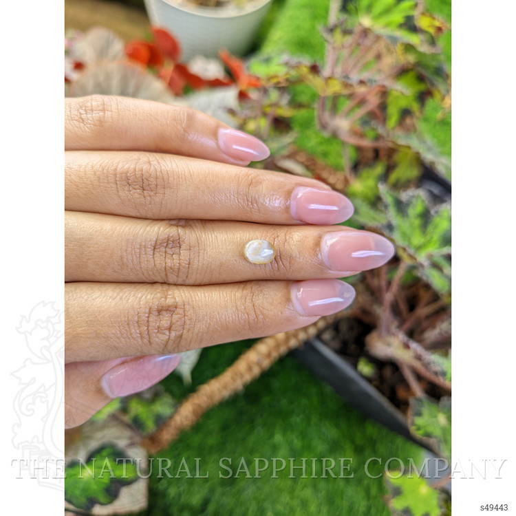 1.71 Ct. Yellow Cabochon Star Sapphire from Ceylon (Sri Lanka)