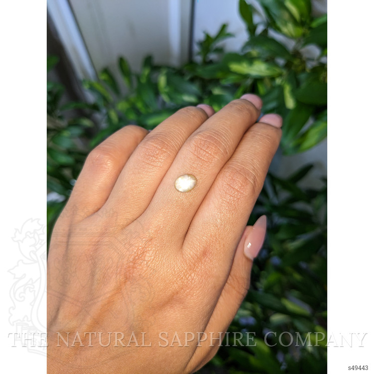1.71 Ct. Yellow Cabochon Star Sapphire from Ceylon (Sri Lanka)
