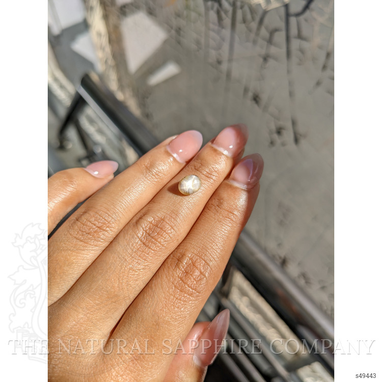 1.71 Ct. Yellow Cabochon Star Sapphire from Ceylon (Sri Lanka)