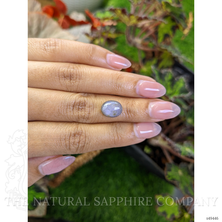 6.13 Ct. Greyish Blue Cabochon Star Sapphire from Ceylon (Sri Lanka)