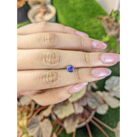 0.74 Ct. Bluish Purple Sapphire from Ceylon (Sri Lanka) Life Style