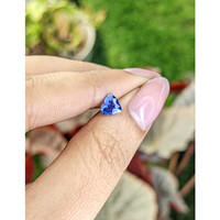 0.81 Ct. Blue Sapphire from Ceylon (Sri Lanka) Life Style