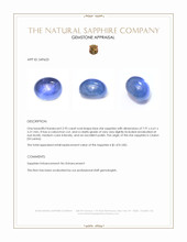 2.95 Ct. Blue Cabochon Star Sapphire from Ceylon (Sri Lanka) Appraisal