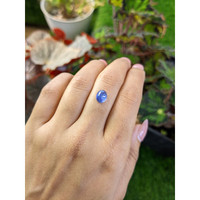 2.95 Ct. Blue Cabochon Star Sapphire from Ceylon (Sri Lanka) Life Style