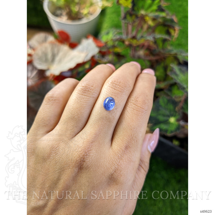 2.95 Ct. Blue Cabochon Star Sapphire from Ceylon (Sri Lanka)
