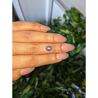 2.95 Ct. Blue Cabochon Star Sapphire from Ceylon (Sri Lanka) Life Style