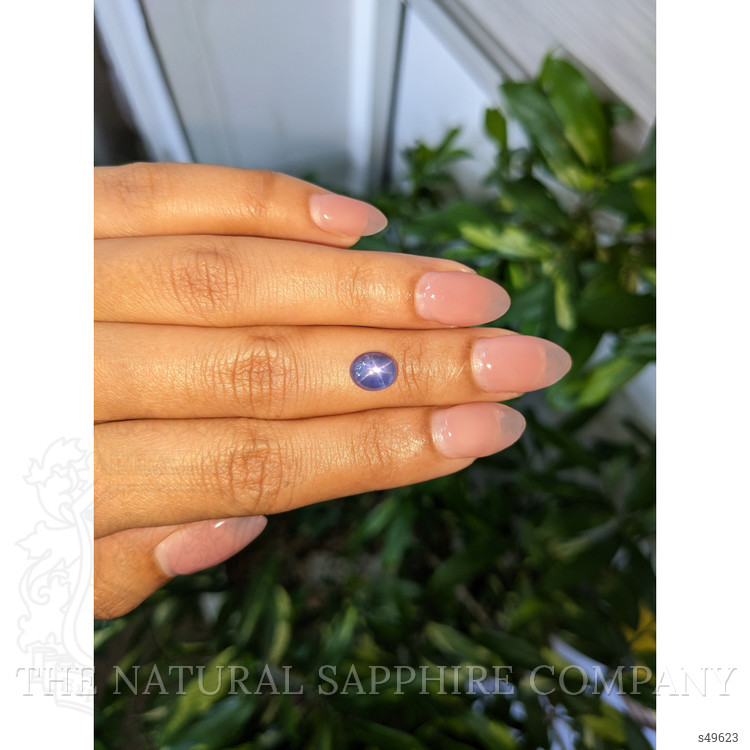 2.95 Ct. Blue Cabochon Star Sapphire from Ceylon (Sri Lanka)