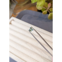 1.37 Ct. Green Sapphire from Montana Life Style