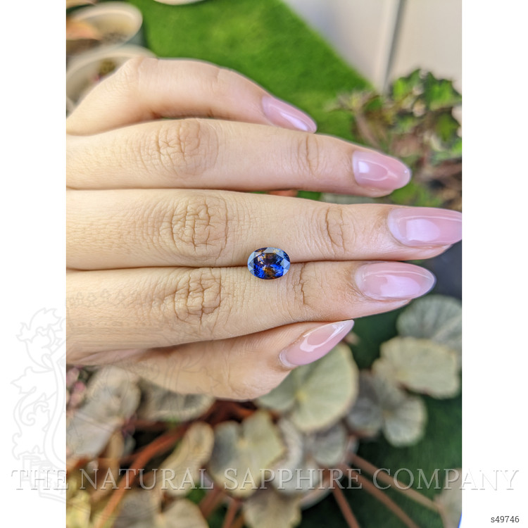 2.07 Ct. Bi Color / Parti Sapphire from Ceylon (Sri Lanka)