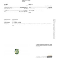 5.01 Ct. Bi Color / Parti Sapphire from Ceylon (Sri Lanka) Pdf