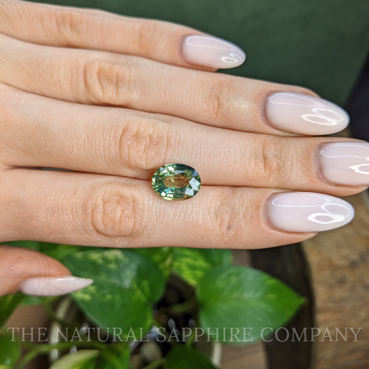 5.01 Ct. Bi Color / Parti Sapphire from Ceylon (Sri Lanka)