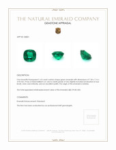 1.63 Ct. Emerald from Zambia Appraisal