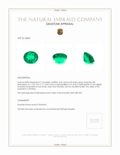 4.85 Ct. Emerald from Colombia Appraisal