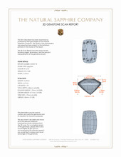 Jewelry 3 D Scan Report