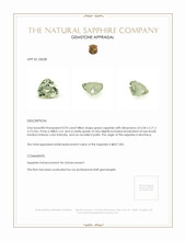 0.93 Ct. Green Sapphire from Montana Appraisal