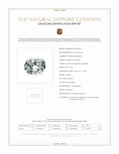 Jewelry Scan Report