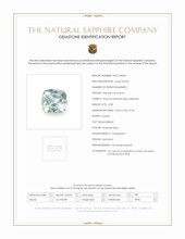 Jewelry Scan Report