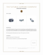 1.03 Ct. Bluish Grey Sapphire from Montana Appraisal