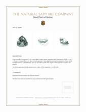 Jewelry Appraisal