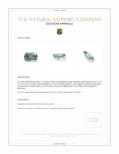 1.10 Ct. Bluish Green Sapphire from Montana Appraisal