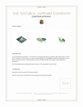 Jewelry Appraisal