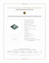Jewelry Scan Report