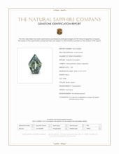 Jewelry Scan Report