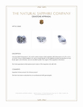 Jewelry Appraisal
