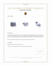 1.20 Ct. Sapphire from Montana Appraisal