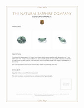 Jewelry Appraisal