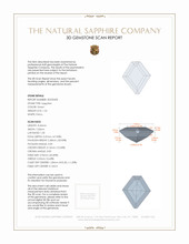 Jewelry 3 D Scan Report