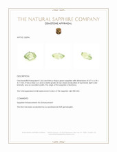 Jewelry Appraisal