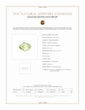 Jewelry Scan Report