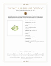 Jewelry Scan Report