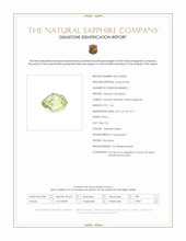 Jewelry Scan Report