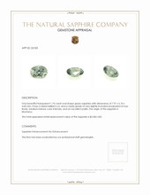 Jewelry Appraisal