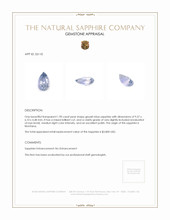 Jewelry Appraisal